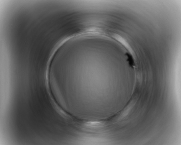 X0000088481482200706051351