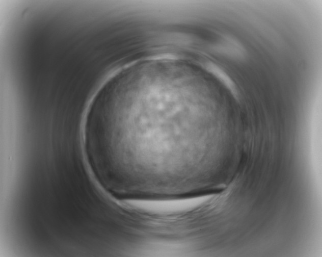 X0000088481483200706051351