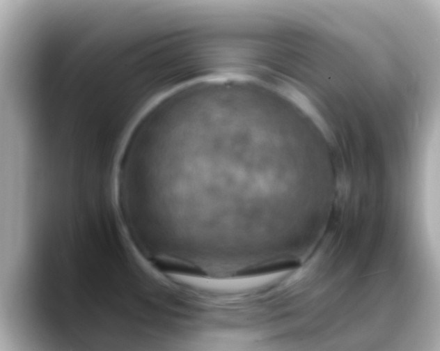 X0000088481484200706051351