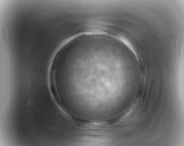 X0000088481485200706051351