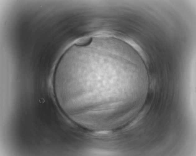 X0000088481486200706051351