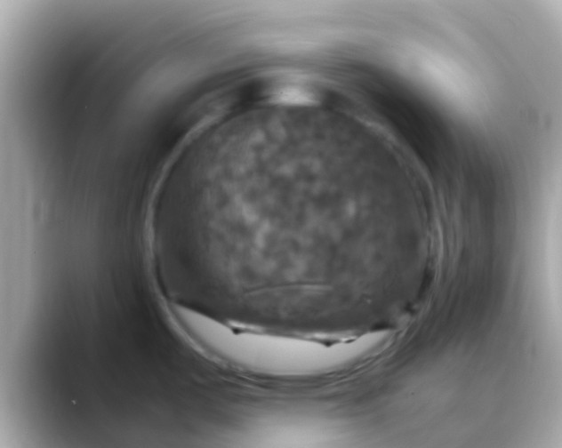 X0000088481487200706051351