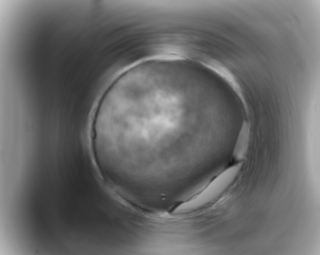 X0000088481488200706051351