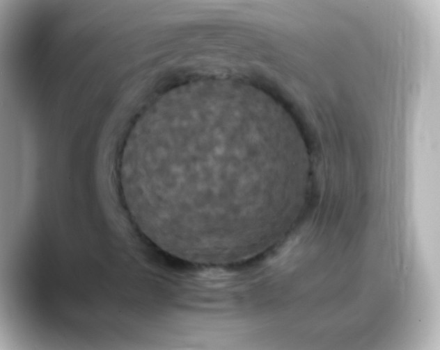 X0000088481489200706051351