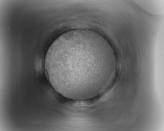 X0000088481490200706051351