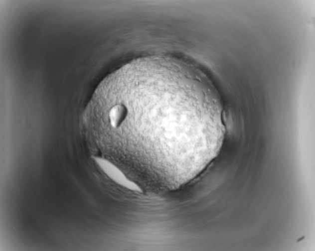 X0000088481492200706051351