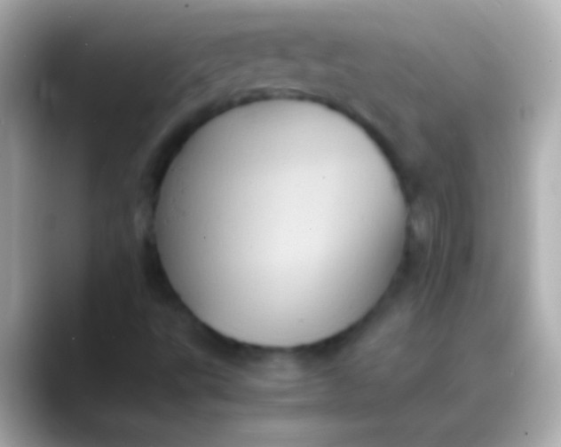 X0000088481495200706051351