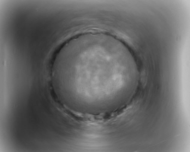X0000088481496200706051351