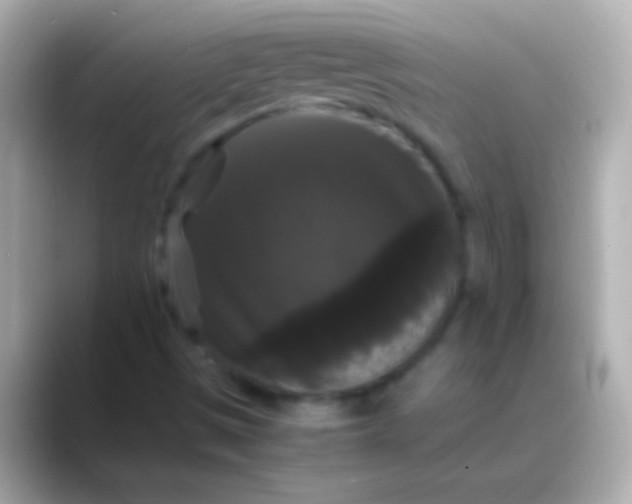 X0000088481497200706051351