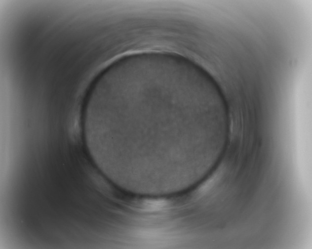 X0000088481498200706051351