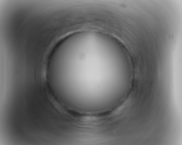 X0000088481499200706051351