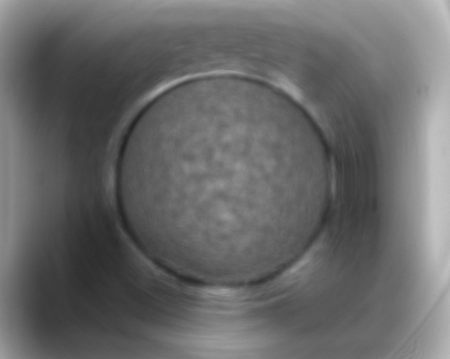 X0000088481500200706051351