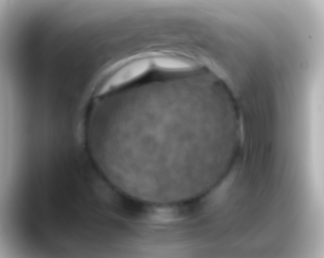 X0000088481501200706051351