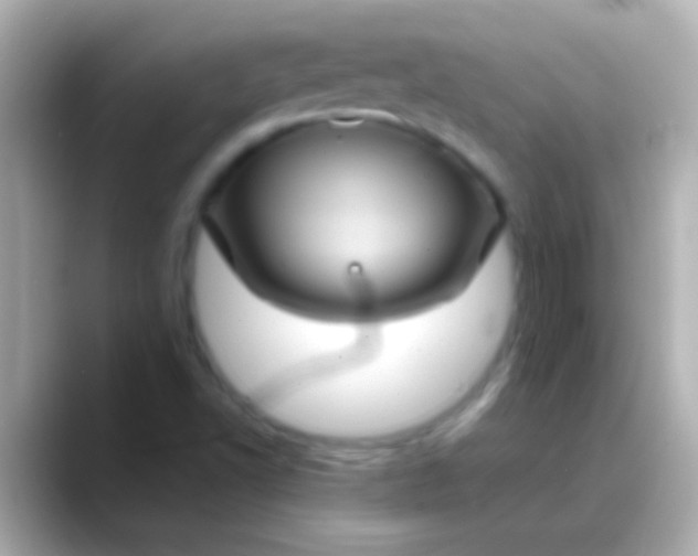 X0000088481502200706051351