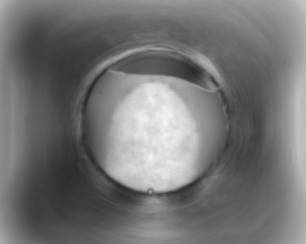 X0000088481504200706051351