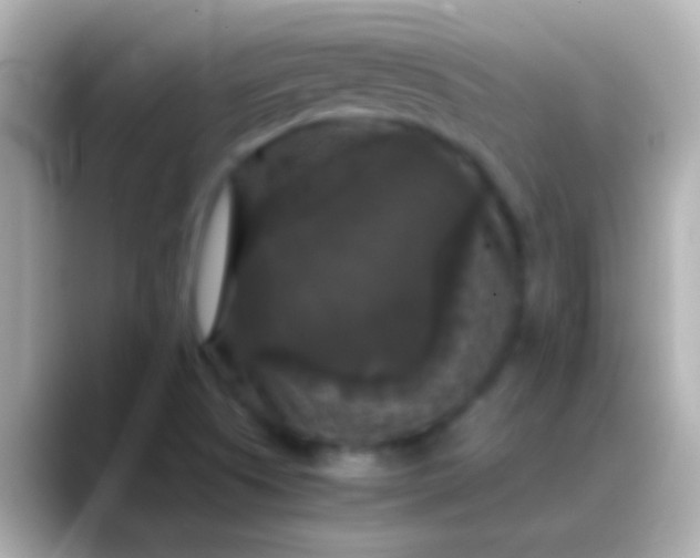 X0000088481505200706051351