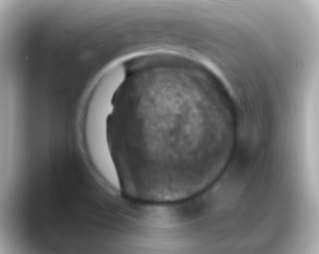 X0000088481508200706051351