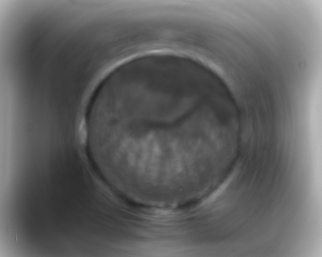 X0000088481509200706051351