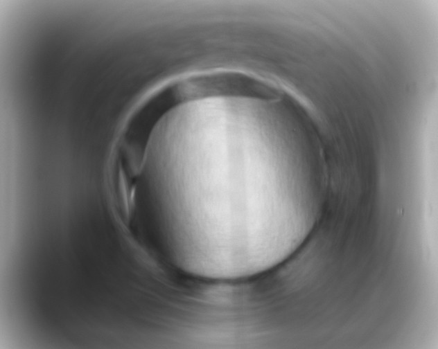 X0000088481510200706051351