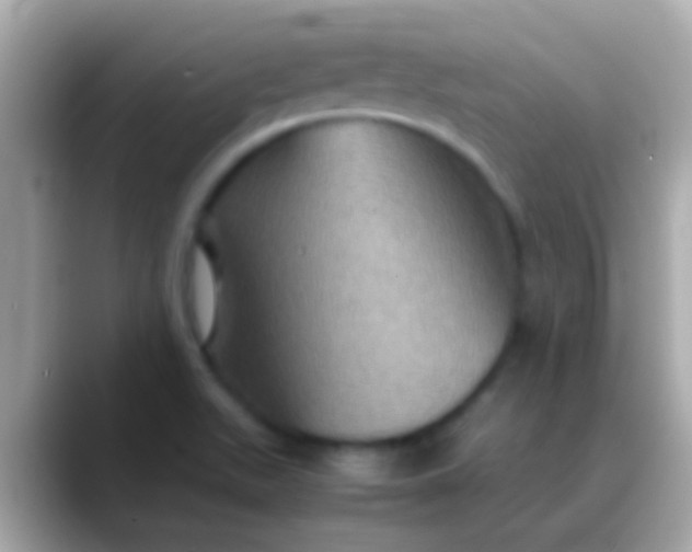 X0000088481511200706051351