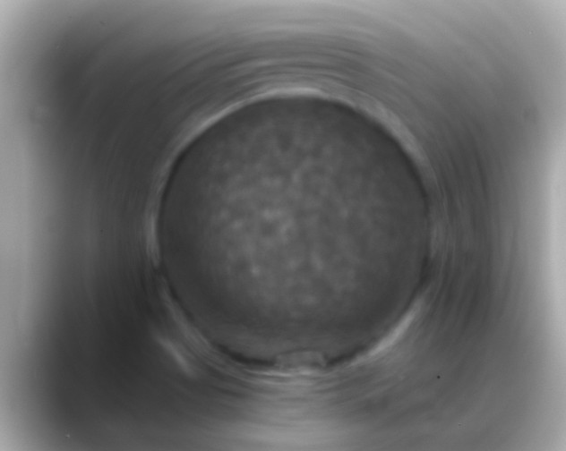 X0000088481513200706051351