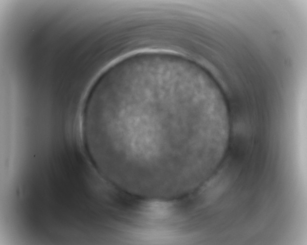X0000088481514200706051351