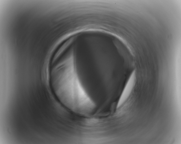 X0000088481515200706051351