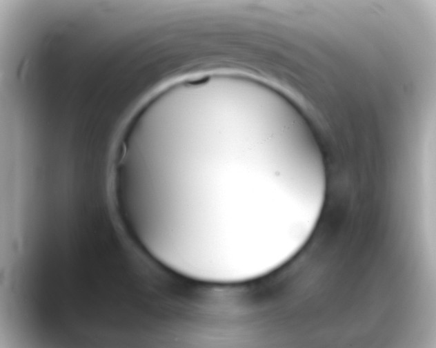 X0000088481518200706051351