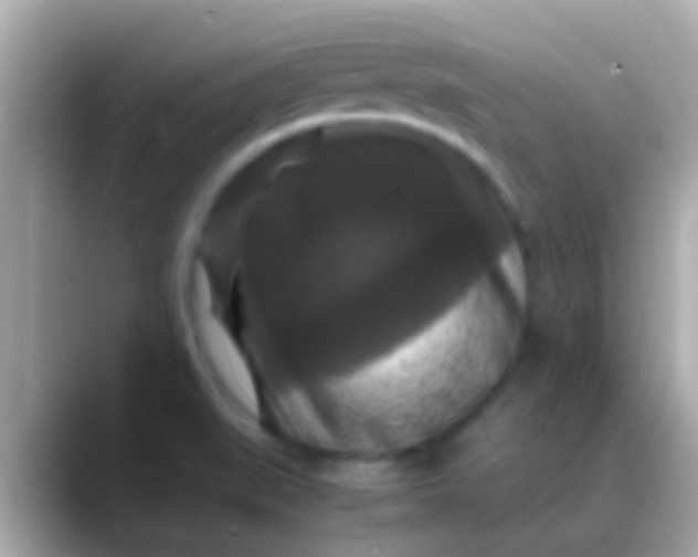 X0000088481519200706051351