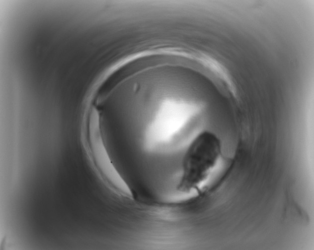 X0000088481520200706051351