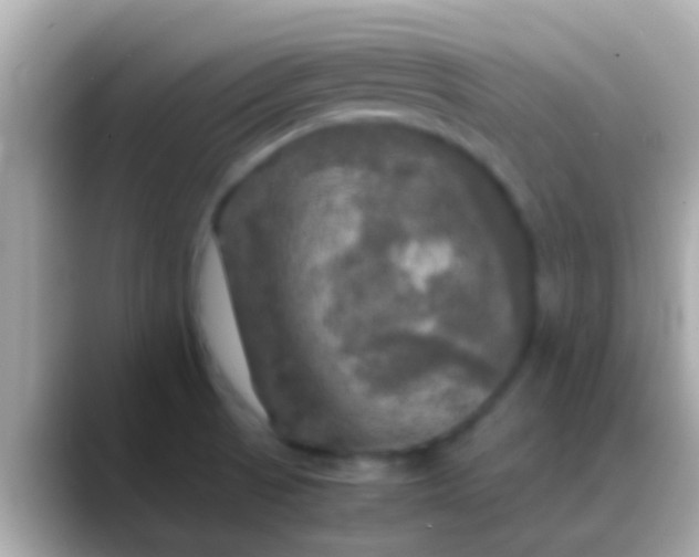 X0000088481521200706051351