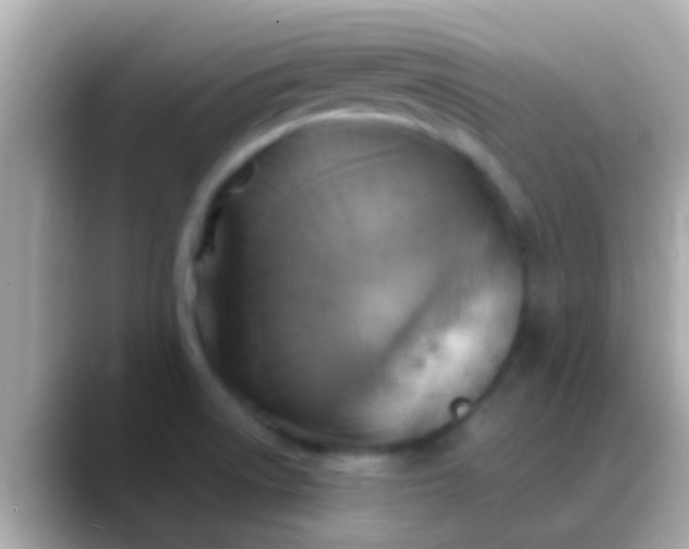 X0000088481522200706051351
