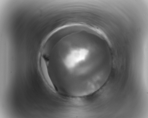 X0000088481524200706051351