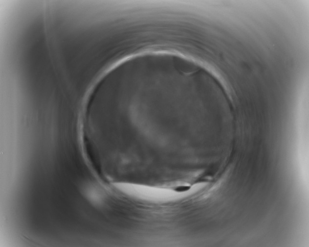 X0000088481525200706051351