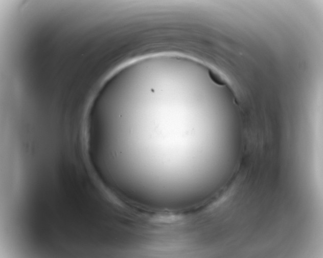 X0000088481526200706051351