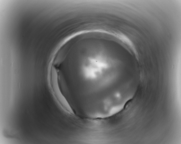 X0000088481528200706051351