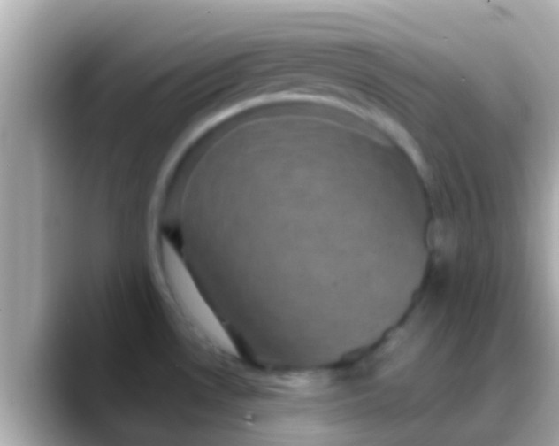 X0000088481530200706051351