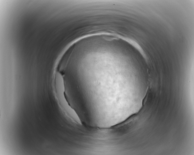X0000088481532200706051351