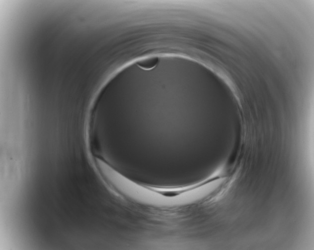 X0000088481533200706051351