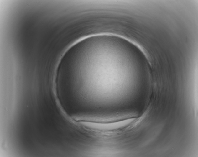 X0000088481534200706051351