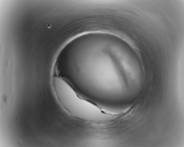 X0000088481536200706051351