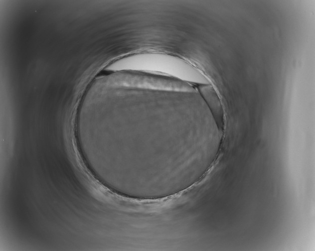 X0000088480001200706121539