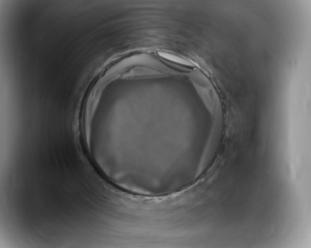 X0000088480002200706121539