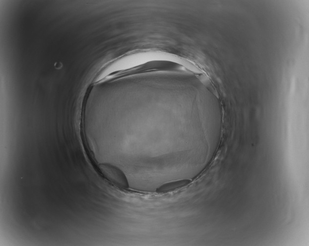 X0000088480003200706121539