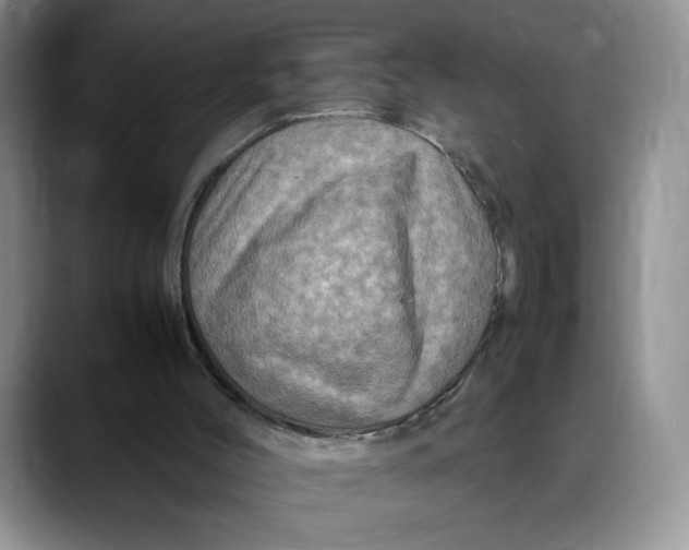 X0000088480004200706121539