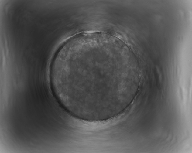 X0000088480006200706121539