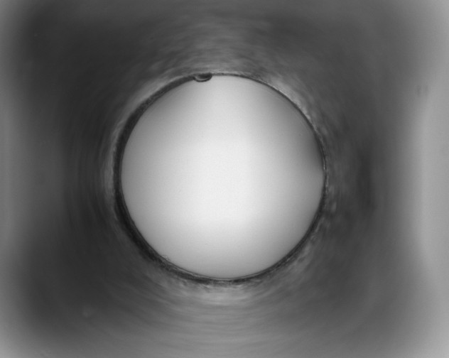 X0000088480008200706121539