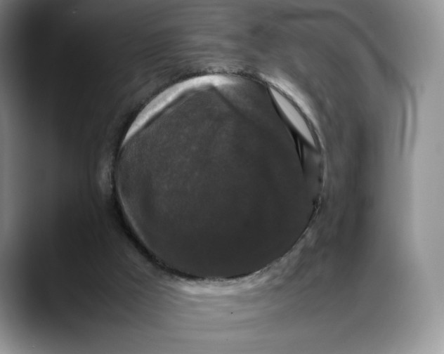 X0000088480009200706121539