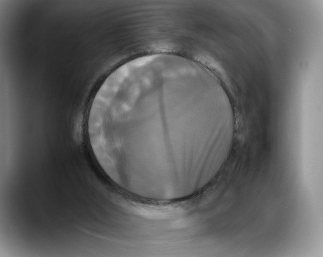 X0000088480012200706121539