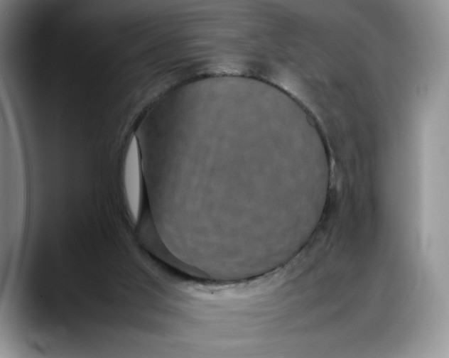 X0000088480013200706121539